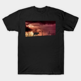 silhouette of a bull in a sunset T-Shirt